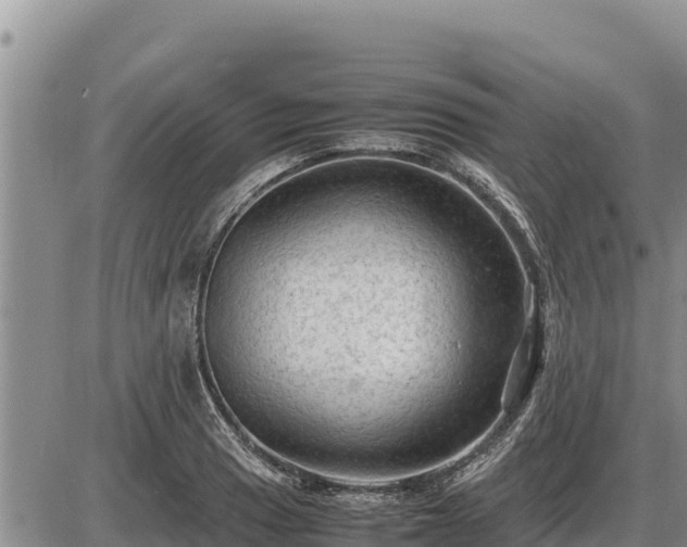 X0000087421033200704271732