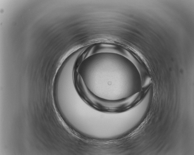 X0000087421034200704271732