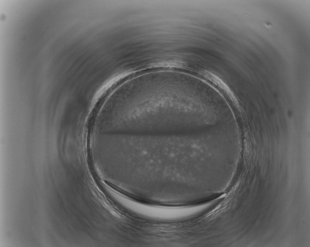 X0000087421035200704271732