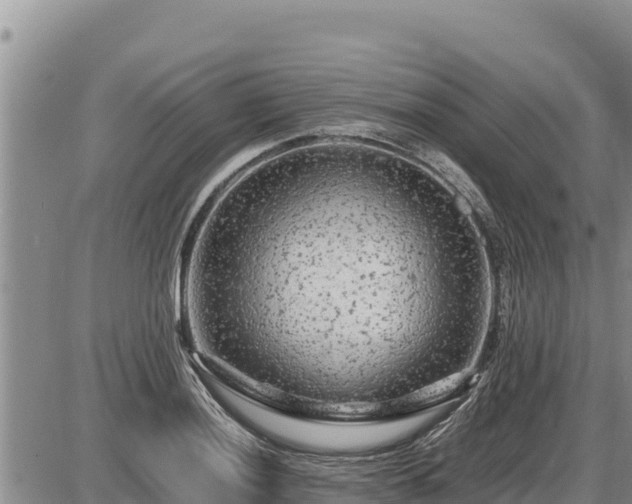 X0000087421036200704271732