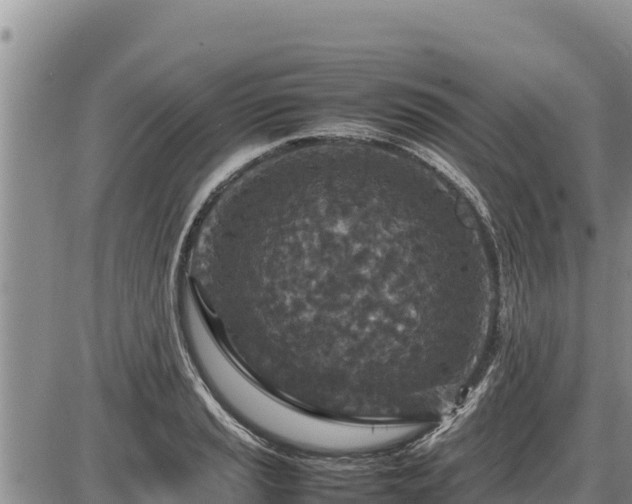 X0000087421037200704271732