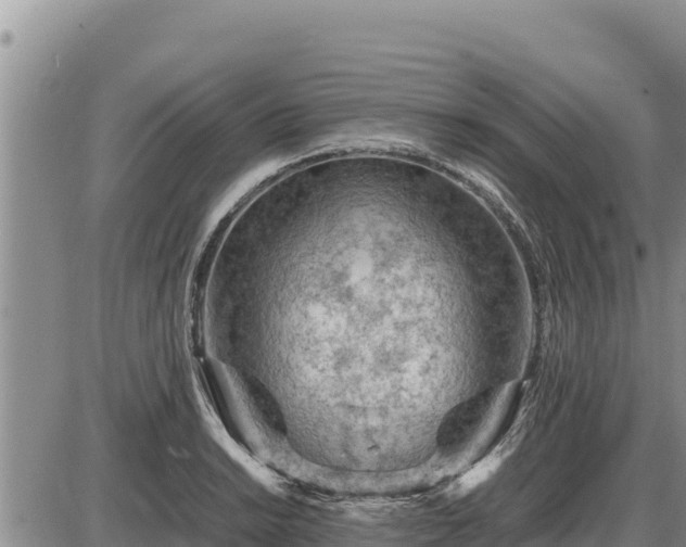 X0000087421038200704271732