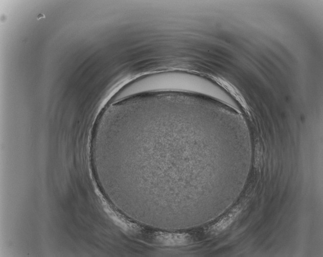 X0000087421039200704271732