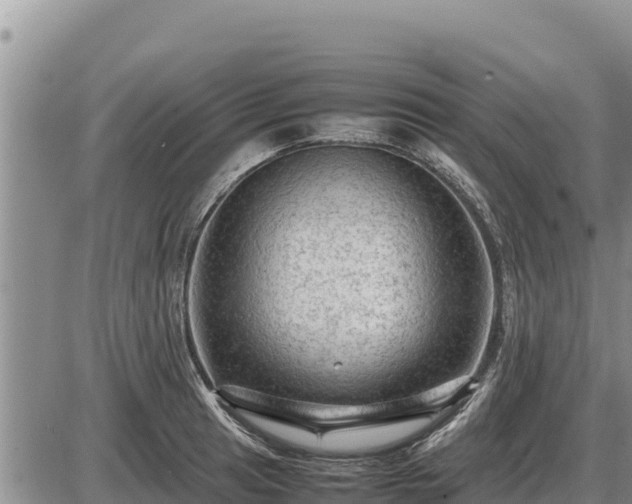 X0000087421041200704271732