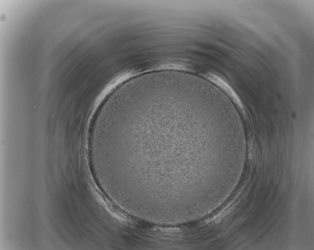 X0000087421043200704271732