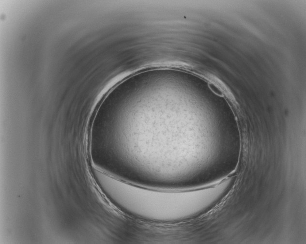 X0000087421044200704271732