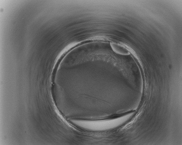 X0000087421045200704271732