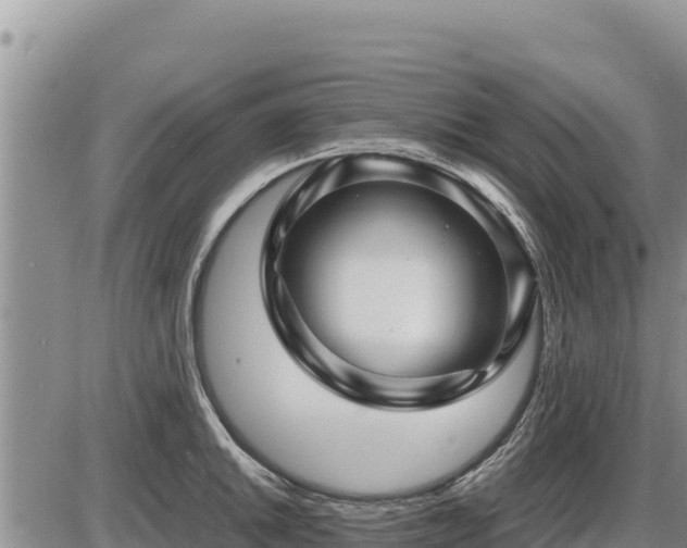 X0000087421046200704271732