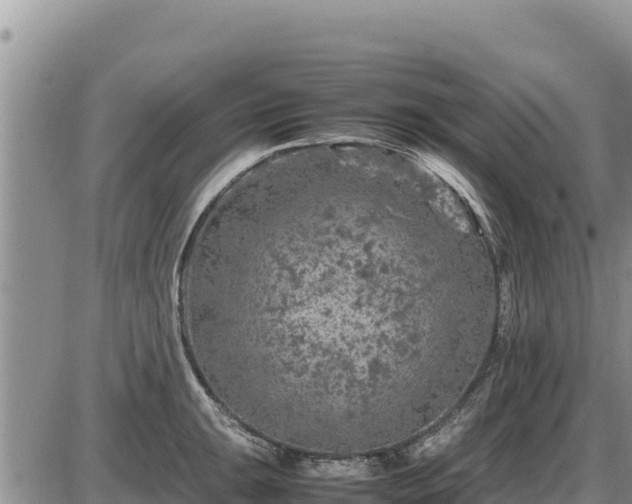 X0000087421047200704271732