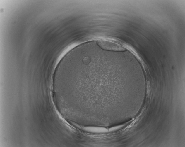 X0000087421048200704271732