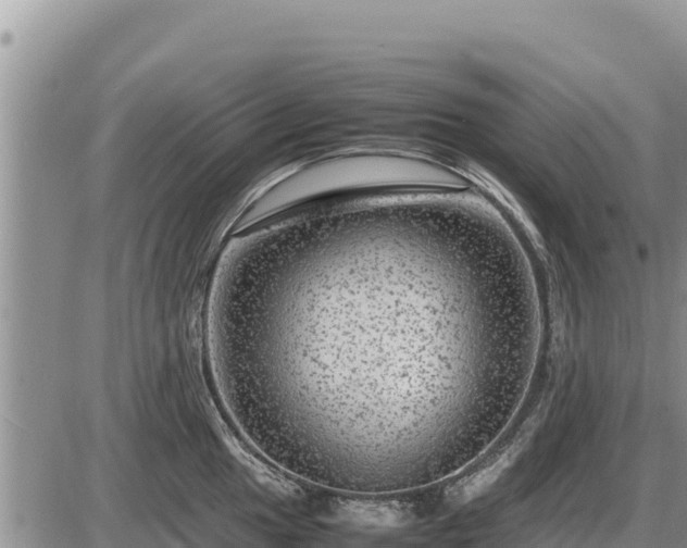 X0000087421049200704271732