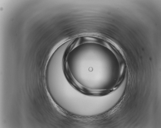 X0000087421050200704271732