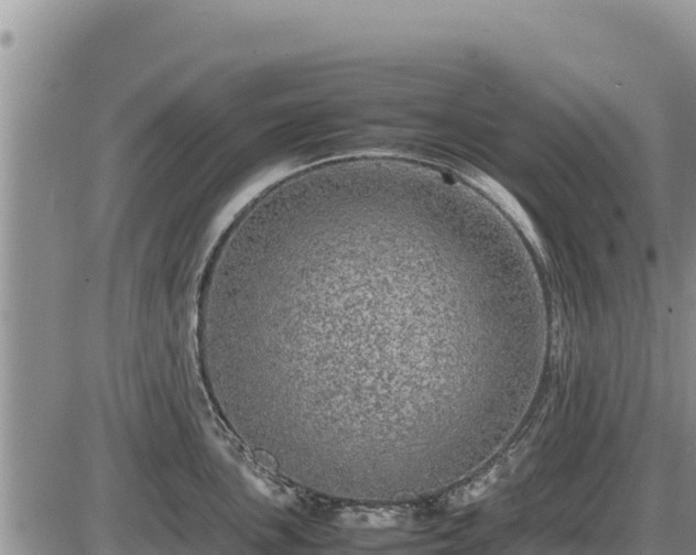 X0000087421051200704271732