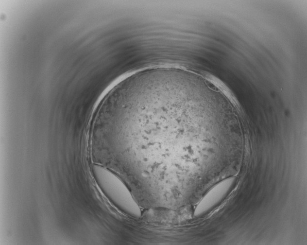 X0000087421052200704271732