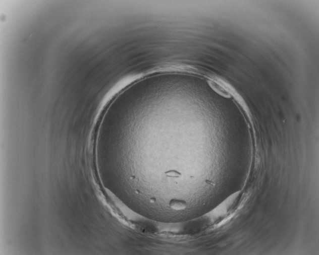 X0000087421053200704271732