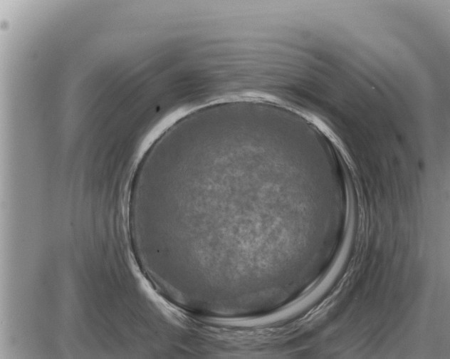 X0000087421054200704271732