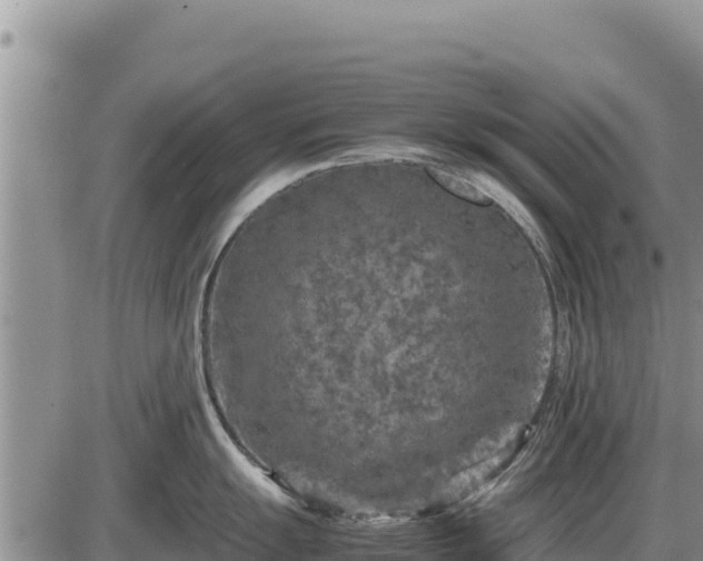 X0000087421055200704271732