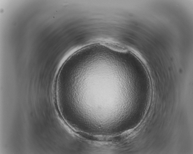 X0000087421056200704271732