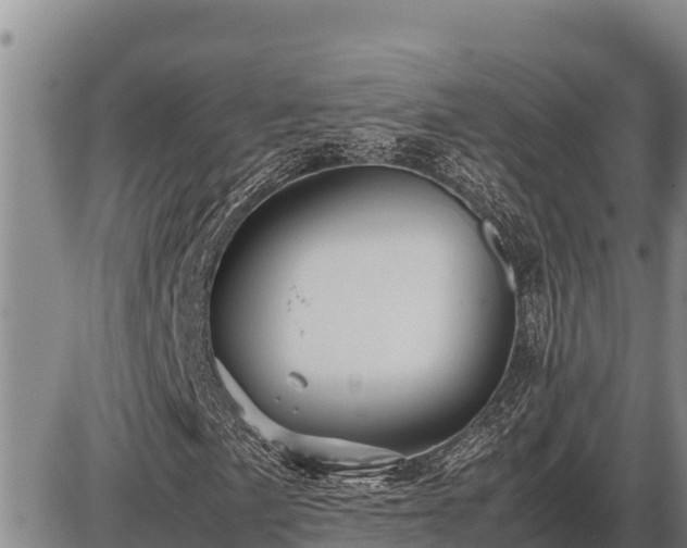 X0000087421057200704271731