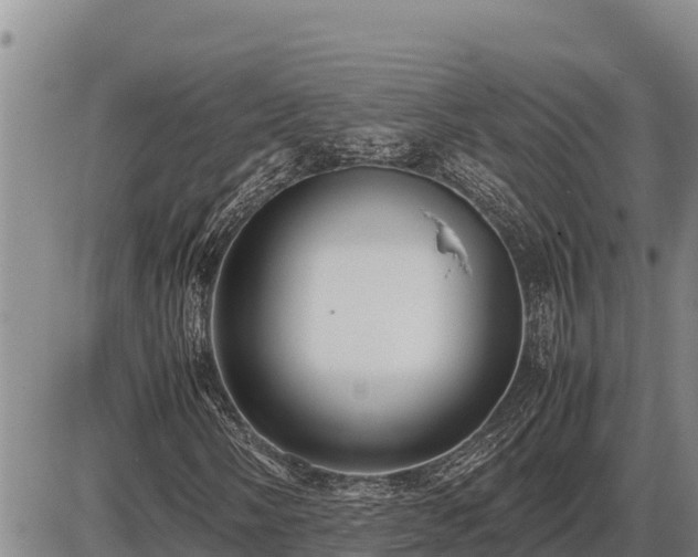 X0000087421058200704271731