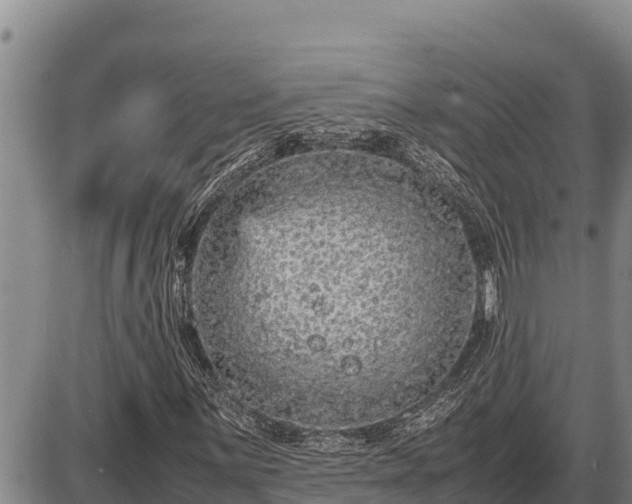 X0000087421059200704271731