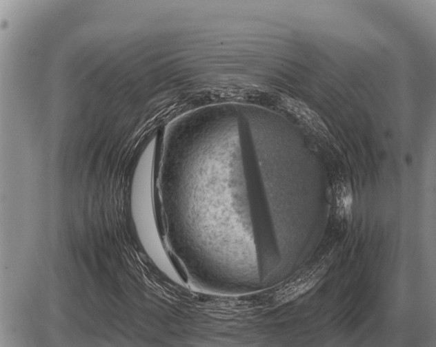 X0000087421060200704271731