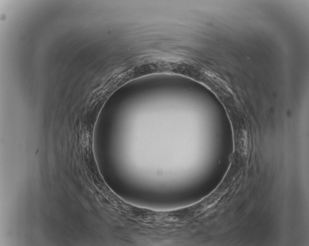 X0000087421061200704271731