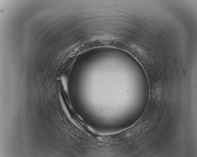 X0000087421062200704271731