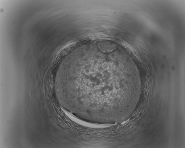 X0000087421063200704271731