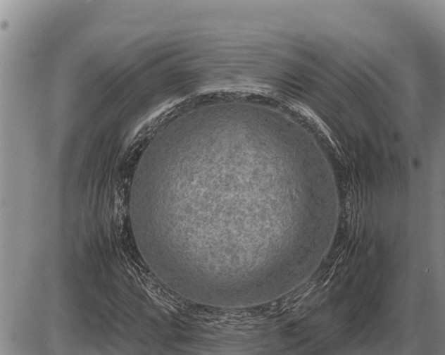 X0000087421064200704271731