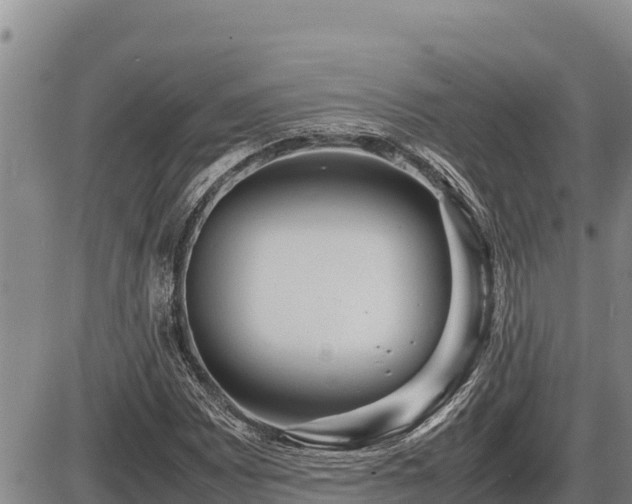 X0000087421065200704271731