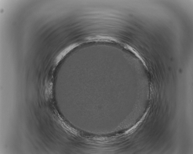 X0000087421066200704271731