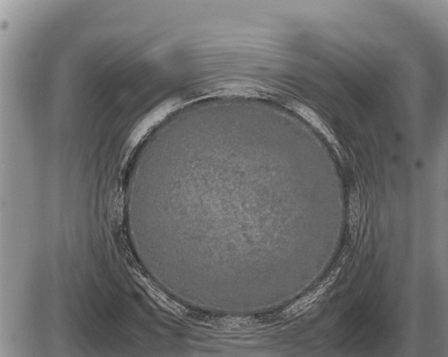 X0000087421067200704271731