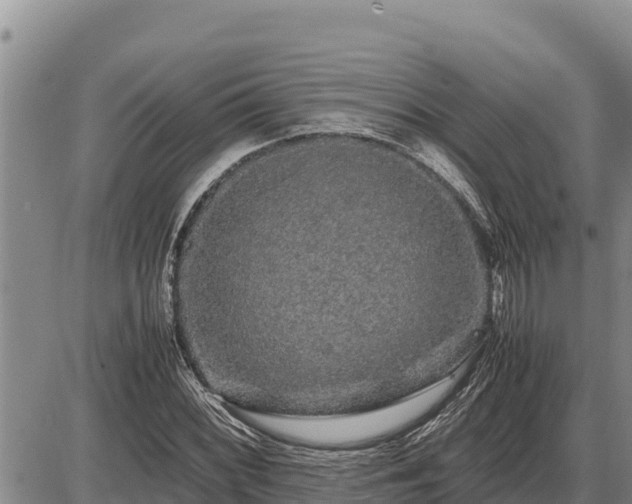 X0000087421068200704271731