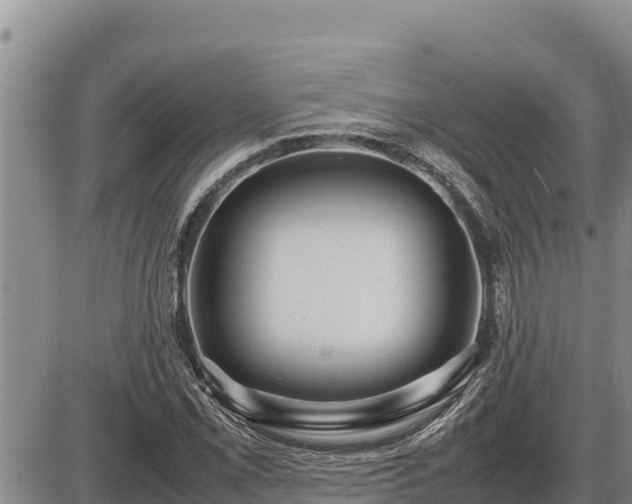 X0000087421069200704271731