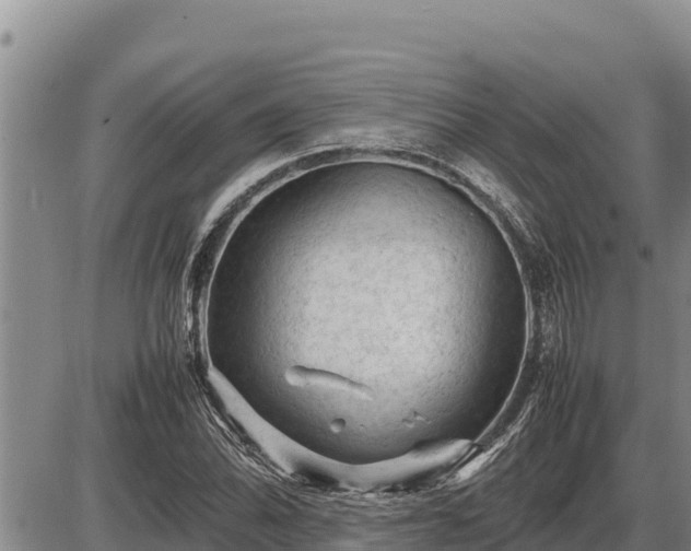 X0000087421070200704271731