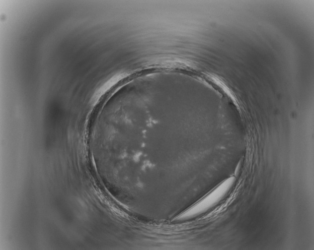 X0000087421071200704271731