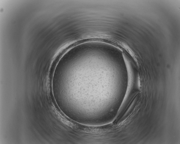 X0000087421072200704271731