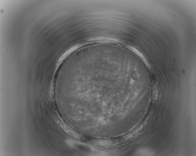 X0000087421074200704271731