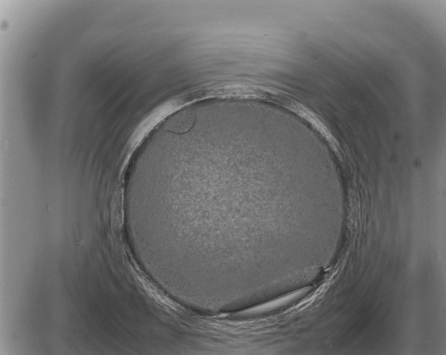 X0000087421075200704271731