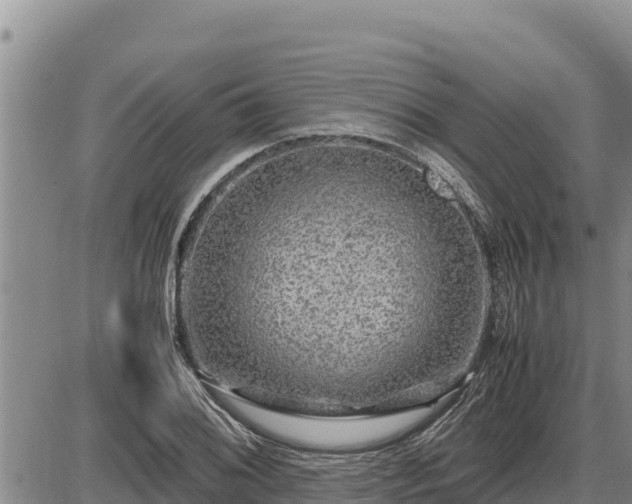 X0000087421076200704271731