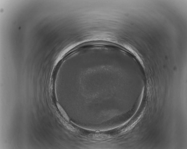 X0000087421077200704271731