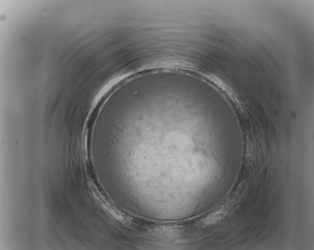 X0000087421078200704271731