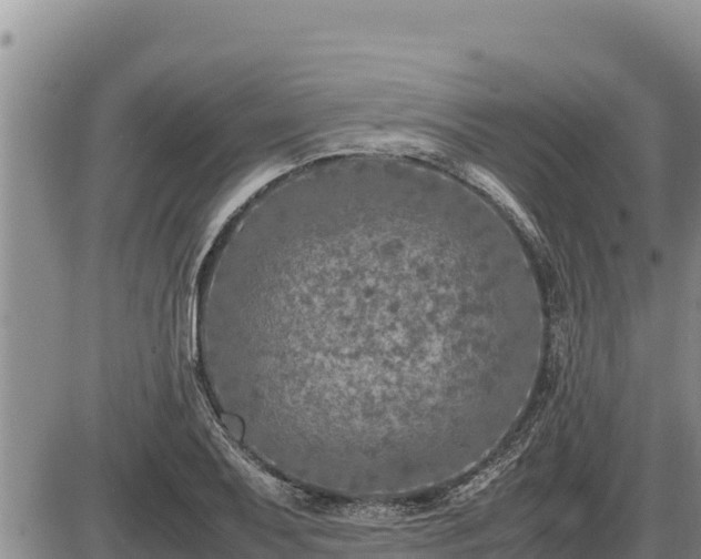 X0000087421079200704271731