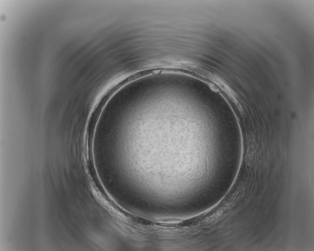 X0000087421080200704271731