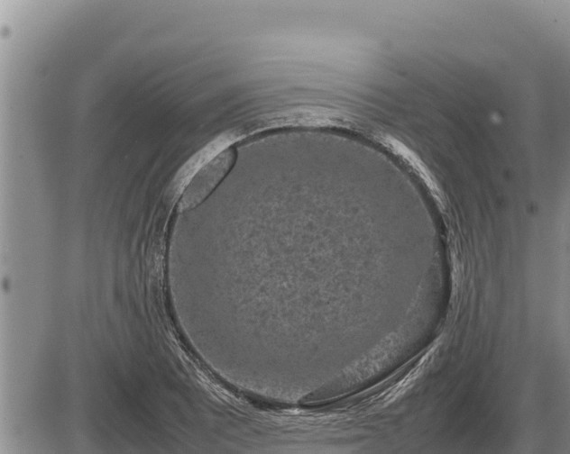 X0000087421081200704271731