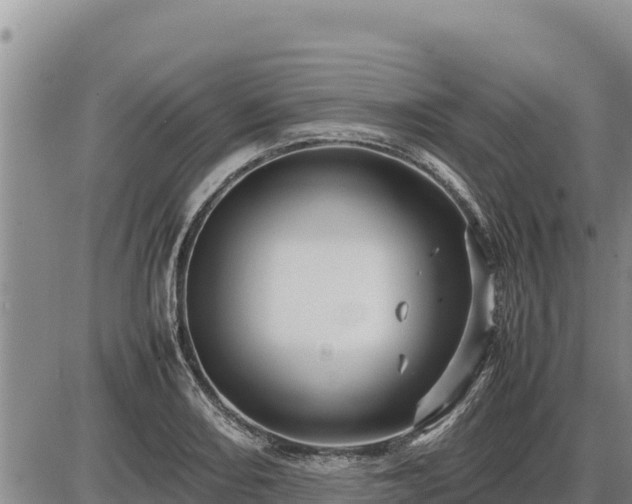 X0000087421082200704271731