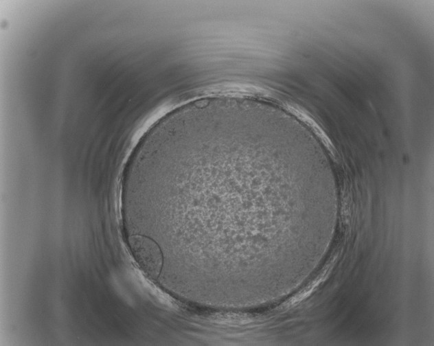 X0000087421083200704271731