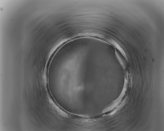 X0000087421084200704271731