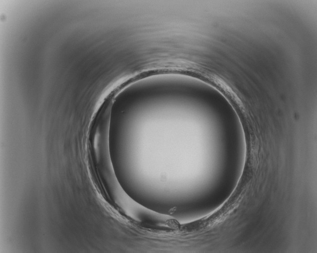 X0000087421085200704271731